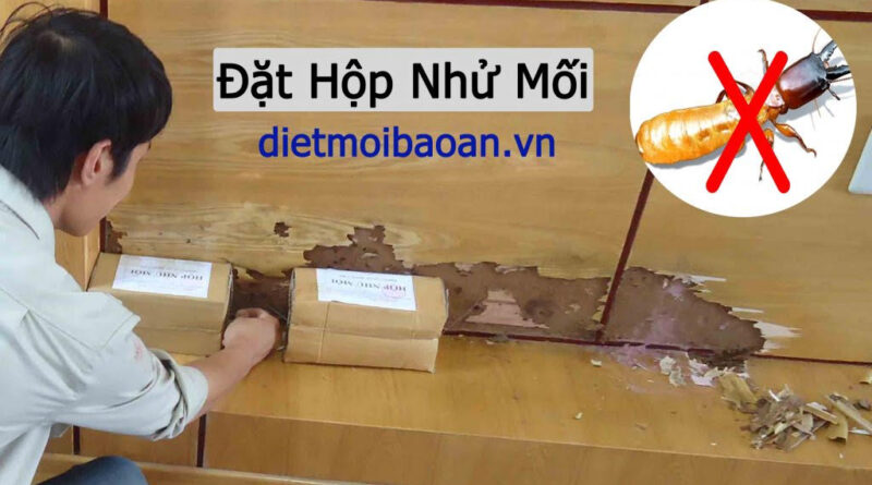 Dịch vụ diệt mối tại quận 6