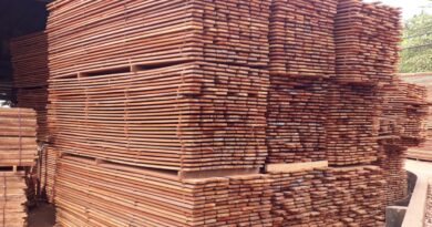 gỗ làm nhà nuôi yến