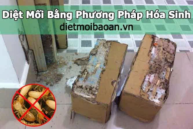 đơn vị diệt mối uy tín TPHCM