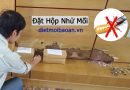 công ty diệt côn trùng