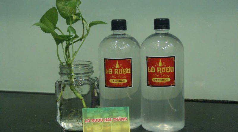 rượu nếp bao nhiêu độ