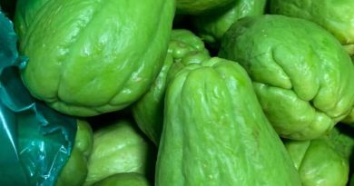 cung cấp rau củ cho siêu thị