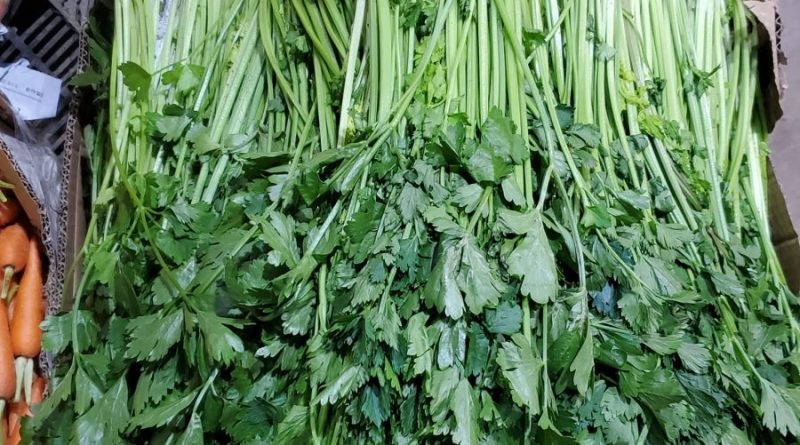 Nhà sỉ nông sản tươi