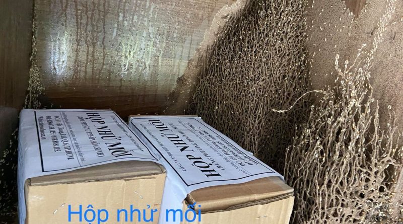 diệt mối phường Tân Tạo